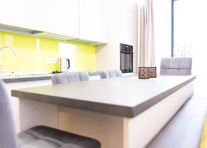 アパート Luxury Brand New Win Herastrau *